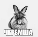 Teilsyo