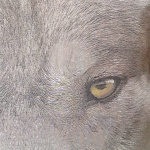 Андрей Каракин_2