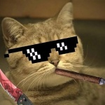 no_hits