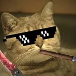 no_hits