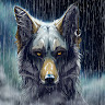 Wild Wolf