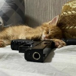 Андрей Богославский