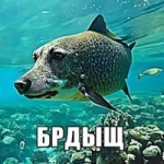 Йога