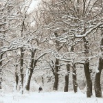 Александр Суворов_4