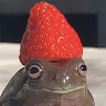 Ckotya