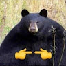 SuzerenWF