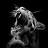 Александр ShadowЯКоFF