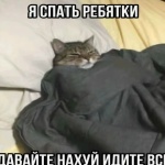 Молодой Человек