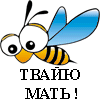 ankkom