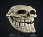 www