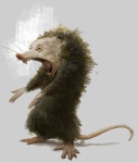 EnoTosH