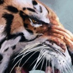 Артём Генадиев