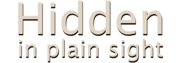 Логотип Hidden in Plain Sight
