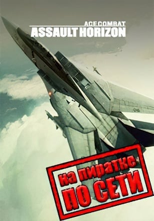 Версия Ace Combat: Assault Horizon по сети