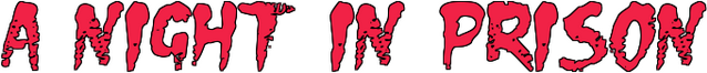 Логотип A Night in Prison