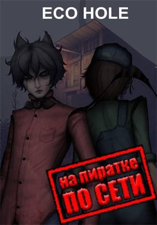 Версия ECO HOLE по сети