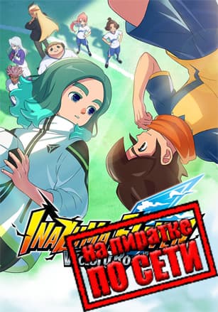 Версия INAZUMA ELEVEN: Victory Road по сети